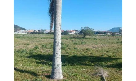 Lote à venda na Rodovia Francisco Thomaz dos Santos - Florianópolis/SC Código: 02.25535
