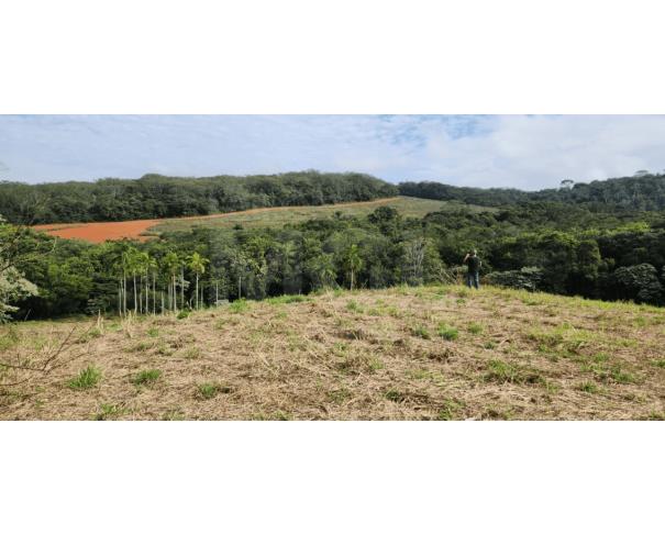 Boa esperança/mg – área rural com 2,42,00ha, localizada na fazenda barro vermelho, sitio piripau fazenda em leilão | mgl leilões