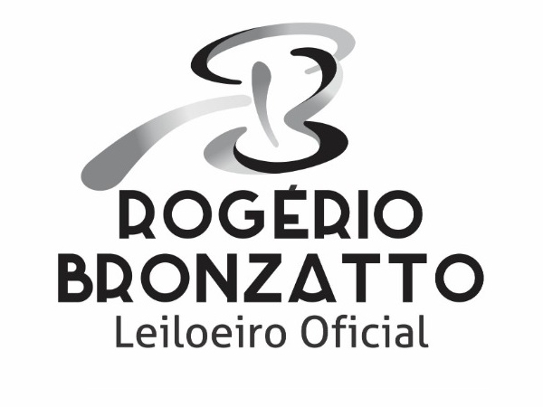 LEILÃO EXTRAJUDICIAL DE ALIENAÇÃO FIDUCIÁRIA - IMÓVEL EM SANTO AUGUSTO/RS - Lote 001 (ID 7619)