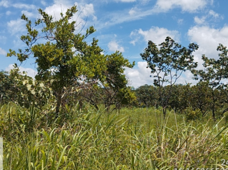 Lote - Chácaras Vera Cruz, Luziânia/GO Praça Única 26/10/2026 À vista