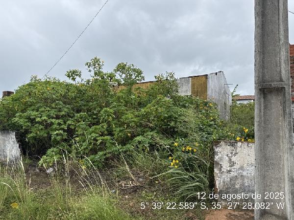 Ceara-mirim - lot res ruy pereira
