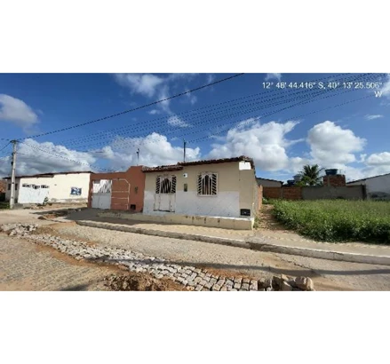 Iacu - boiadeira