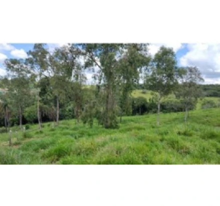 Fazenda em Leilão em Três Corações / MG - 2949139