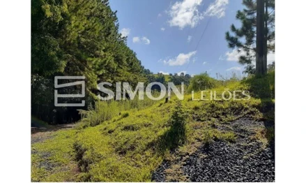 Lote 001 - imóvel rural