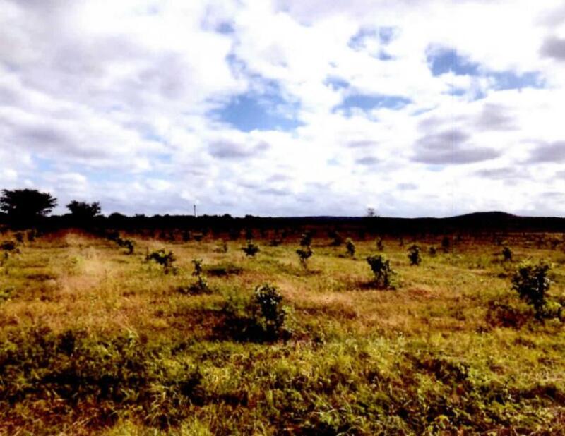 UM IMÓVEL RURAL, “SÍTIO CELINA” - COM ÁREA DE 09,15,12 HECTARES EM CASA NOVA/BA. - Lote 001 (ID 2949)