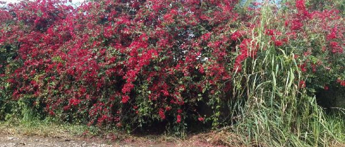 TERRENO DE LEILÃO DA CAIXA, NO BAIRRO RESIDENCIAL JACARAIPE, NA CIDADE SERRA, NO ESTADO ES