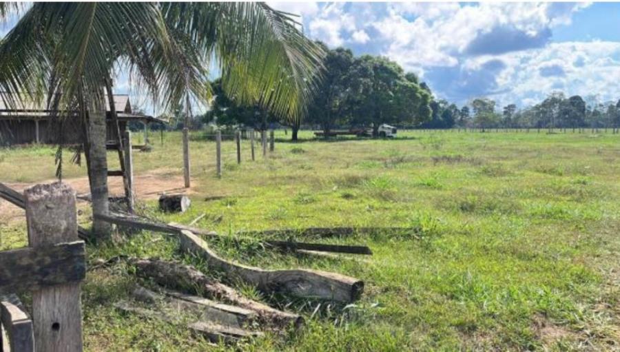 1 Imóvel Rural Área de 24,2000ha | Lote 52-A1 | Gleba 69 | Alto Paraíso/RO