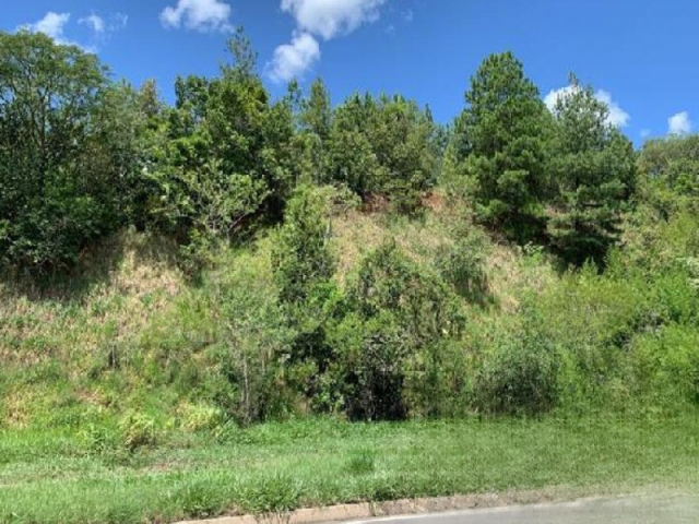 Lote a.t. 1.140 m² - rio branco, são sebastião do caí/rs