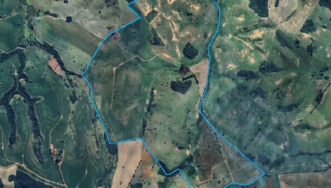 Parte Ideal (50%) sobre Imóvel Rural 271 ha (Fazenda São José Domingos Savio) - Campina - Itapetininga - SP