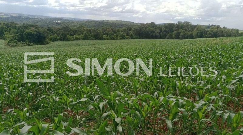 Lote 002 - imóvel rural