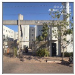 Res palmeira monarca