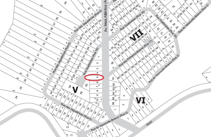 TERRENO EM SÃO FRANCISCO DE PAULA - Lote 001 (ID 8399)