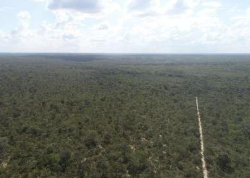Diversos imóveis no Maranhão e em São Paulo - Lote 004 (ID 17412)