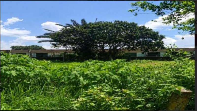 LOTE Nº 10, DA QUADRA B, DO LOTEAMENTO RECANTO CASUARINAS, NA ESTRADA DE ALDEIA, KM 14, ALDEIA DOS CAMARAS, PAUDALHO/PE. COM ÁREA DE 800M², SEM EDIFICAÇÃO. - Lote 14502 (ID 3784)