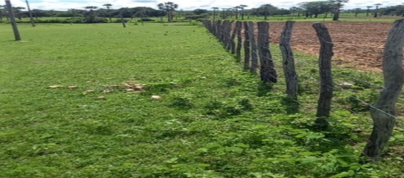 Ceará - independência/ce - fazenda/área rural