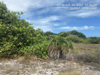 Lote - Lot. Vila Rica do Abais, Itaporanga Dajuda/SE Praça Única 26/10/2026 À vista