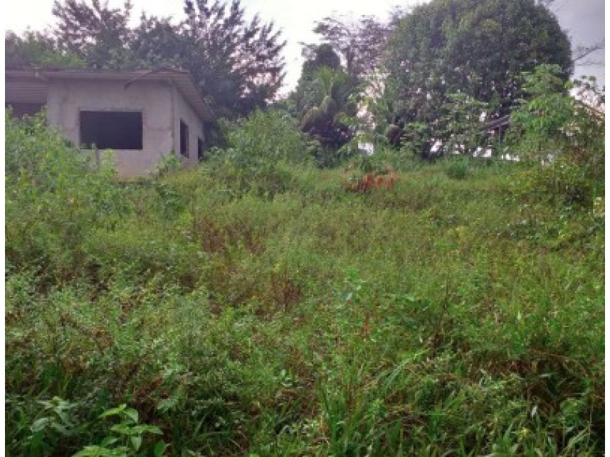 Casa à venda em leilão