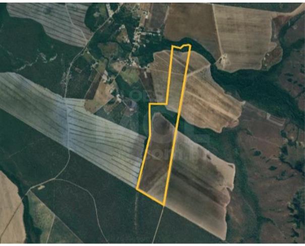 Balsas/ma - fazenda com 119,25 hectares na fazenda correio. fazenda em leilão | mgl leilões