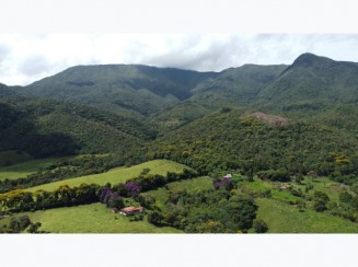 Imóvel Rural em Olaria