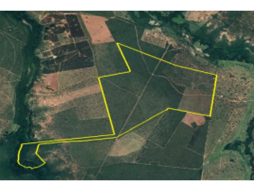 Área rural à venda em leilão