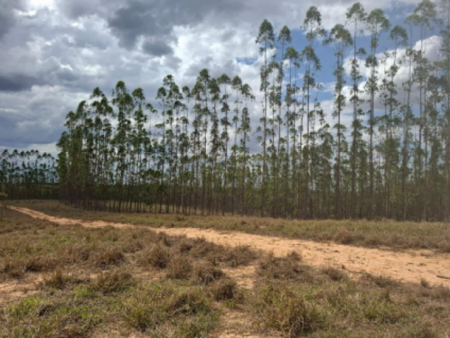 Fazenda a.t. 158 ha - distrito de esteios, luz/mg