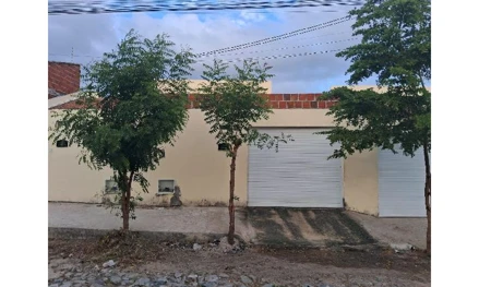 Res dourado 07 touro