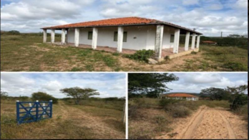 FAZENDA PITOMBEIRA (ATUALMENTE FAZENDA VENTUROSA), NA ZONA RURAL DO MUNICIPIO DE SANTA BRIGIDA/BA. O IMÓVEL REPRESENTA UMA FAIXA DE 400 TAREFAS OU 133 HECTARES. - Lote 004 (ID 3482)