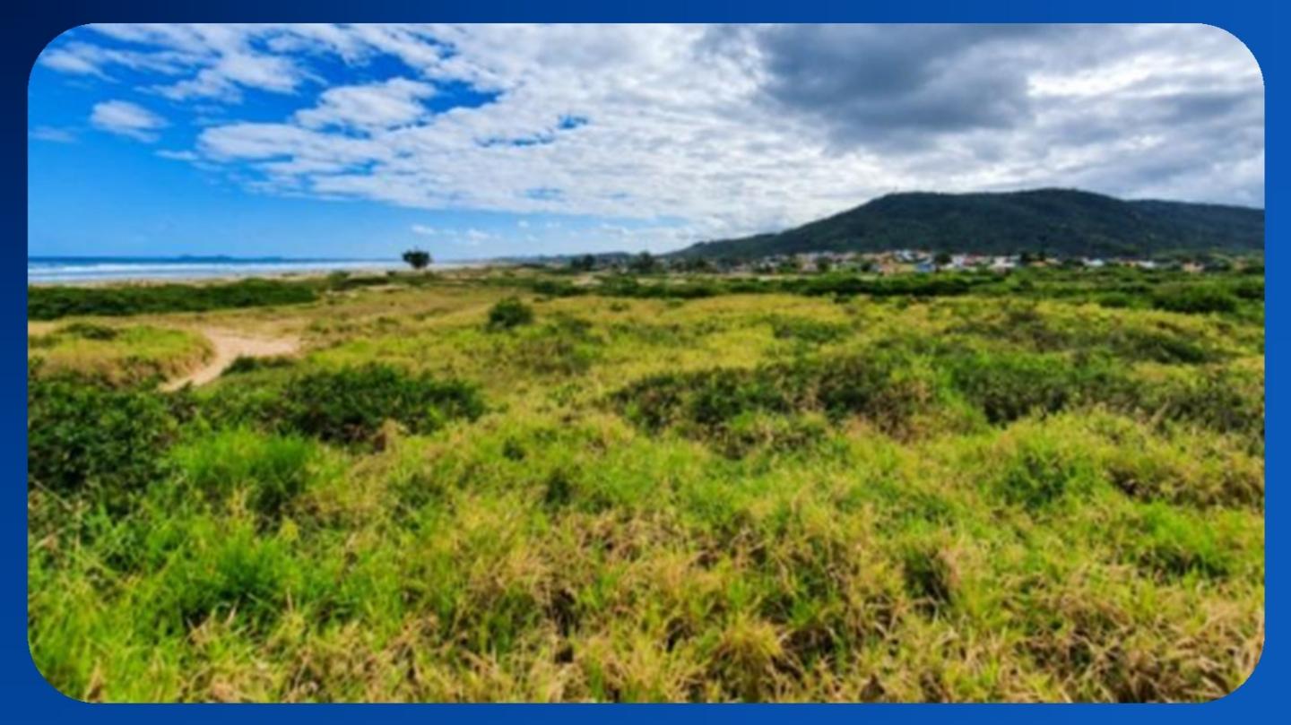 LOTE - Nº 04, QUADRA B-02, LOTEAMENTO SOLLAGE, IMBITUBA/SC, ÁREA DE 450,00M² - Luis Leiloeiro