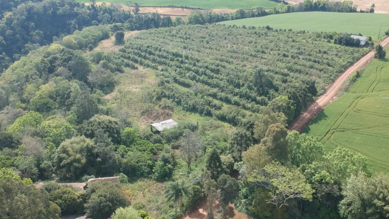 Justiça Estadual - Lote 001 (ID 39677)