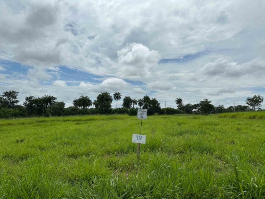 Sicoob - chácara 19, quadra 04, do chacreamento espelho d’água, situada na rua f, em abaeté/mg, com área de 1.000,00 m², matrícula nº 29.050 do cri de abaeté/mg.