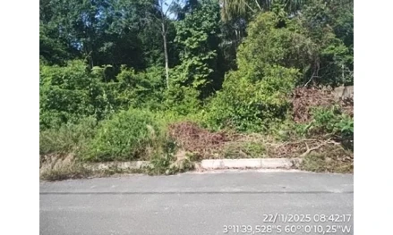 Lot residencial tropical