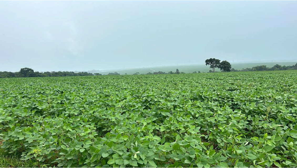 Caiapônia/go - fazenda bom jardim – 2,7.142 alqueires