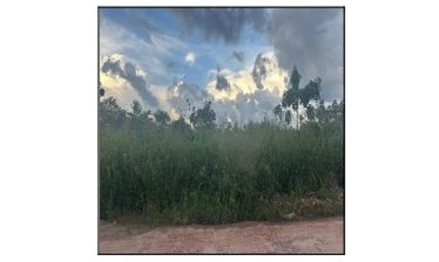 Parque moises amorim