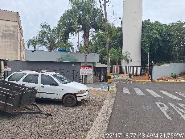 Bauru - res arvoredo