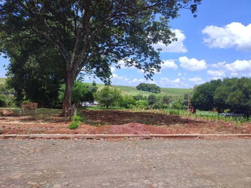Cargnelutti Leilões | VENDA DIRETA - Lote 022 (ID 42064)