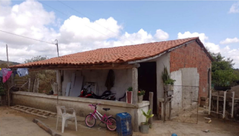 Lote 019