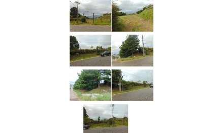 Terreno