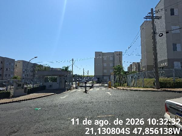 Conquista macaúba