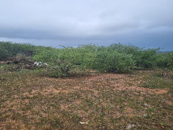 Sao vicente - alto da candelária