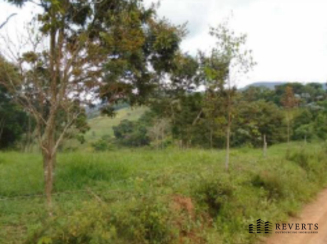 Fazenda - várzea santo antônio, bias fortes/mg
