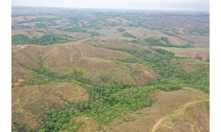 Fazendas em Leilão em Bambuí / MG - 3048680