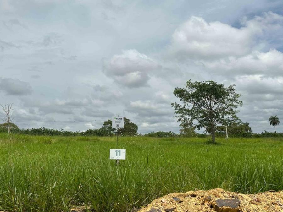 Sicoob - chácara 11, quadra 08, localizada na rua g, no chacreamento espelho d’água, em abaeté/mg, com área total de 1.000,00 m², matrícula nº 29.190 do cri de abaeté/mg.