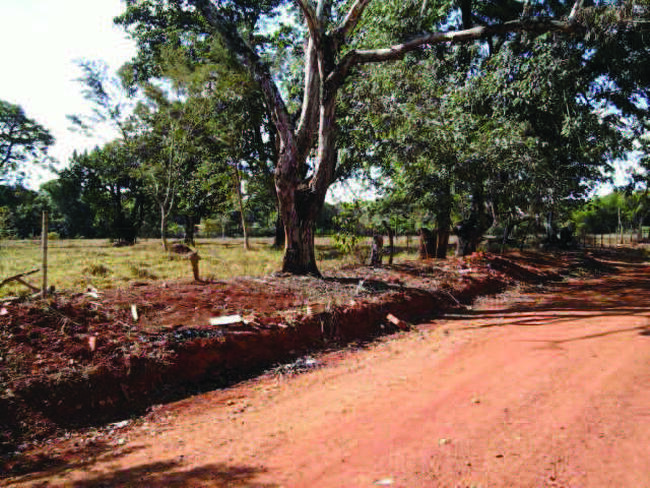 10) chácara nº12, situada na rua 05, quadra 07, no loteamento chácaras califórnia, com 4.091,50m² em goiânia-go