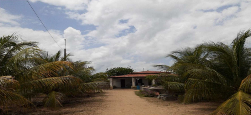 Lote 016