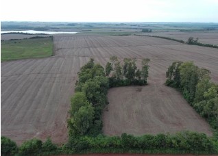 Área rural c/ 9 hac - santo antônio das missões / rs