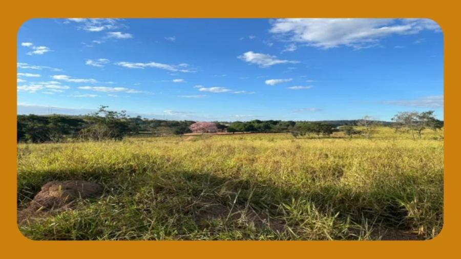 GLEBAS DE TERRAS DE CAMPO SEM BENFEITORIAS, DENOMINADO "FAZENDA BARREIRINHO", SACRAMENTO/MG, COM ÁREA DE 00,12,30HA OU 1.230,00M2.__