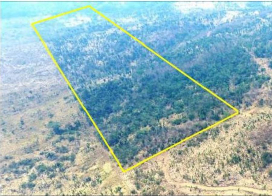 Leilão extrajudicial sicoob - 1 terreno | área de 24,20 ha | lote 14b | gleba 25 | cacaulândia/ro