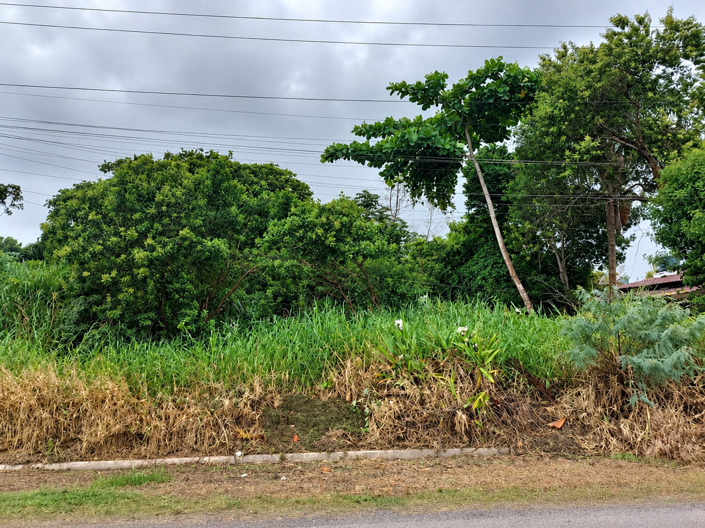 Lote 28: terreno com 250,00 m² - balneário adriana ilha comprida sp
