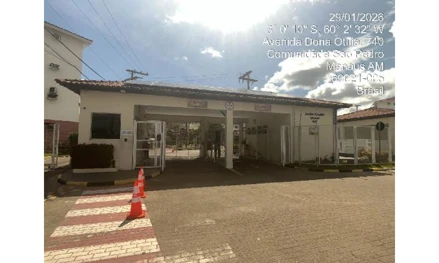 Jardim paradiso girassol