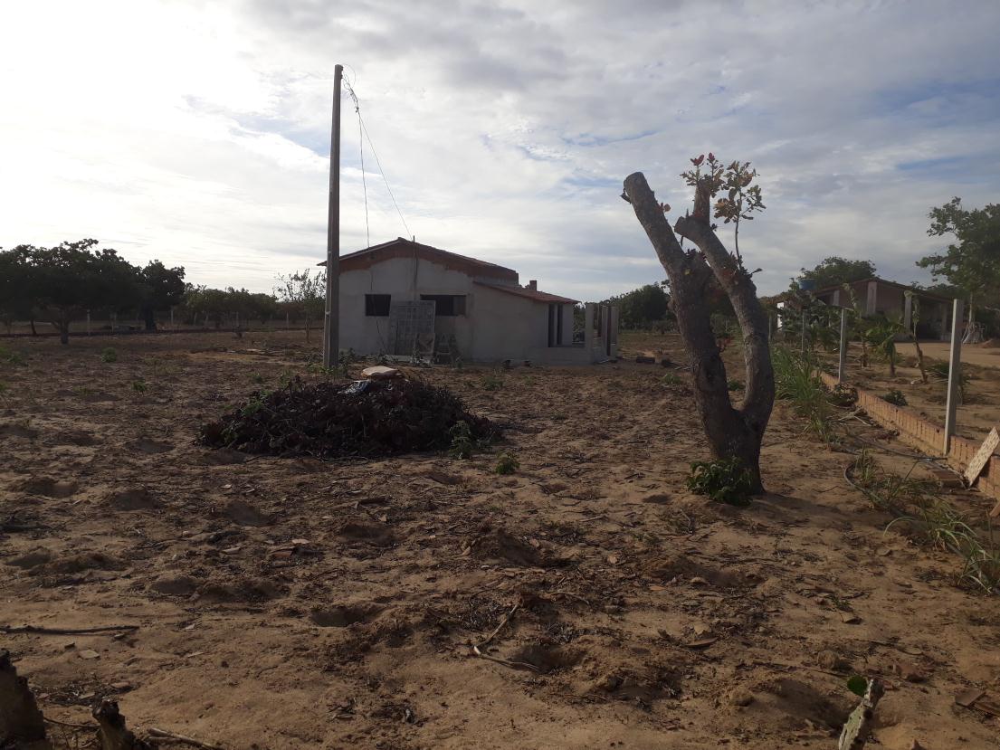 Area Rural em leilão em Nova Floresta - PB